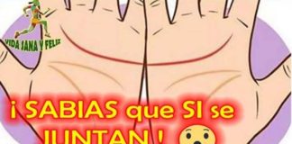 Lineas manos