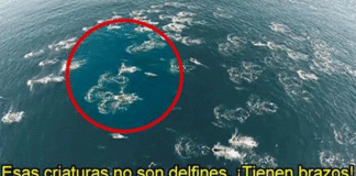 Sirenas